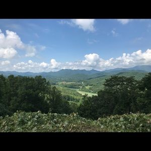 Meet your Posher, Ella